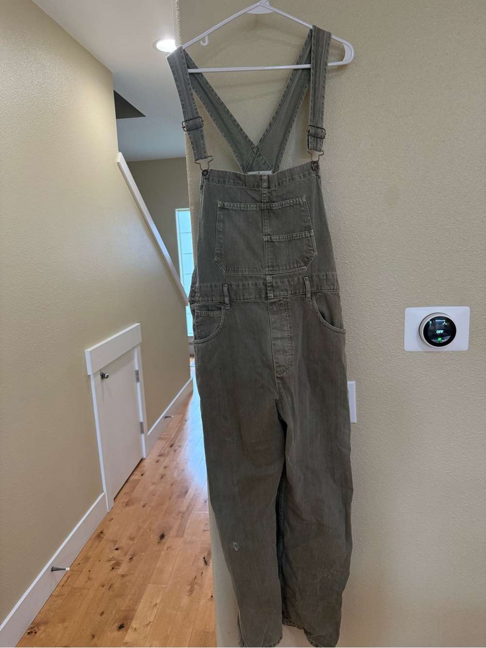 We The Free Ziggy Denim Overalls
